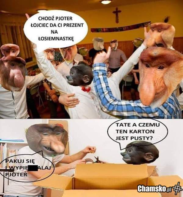 Pakuj mandżur Pioter
