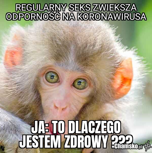 Lekarstwo na Koronawirusa