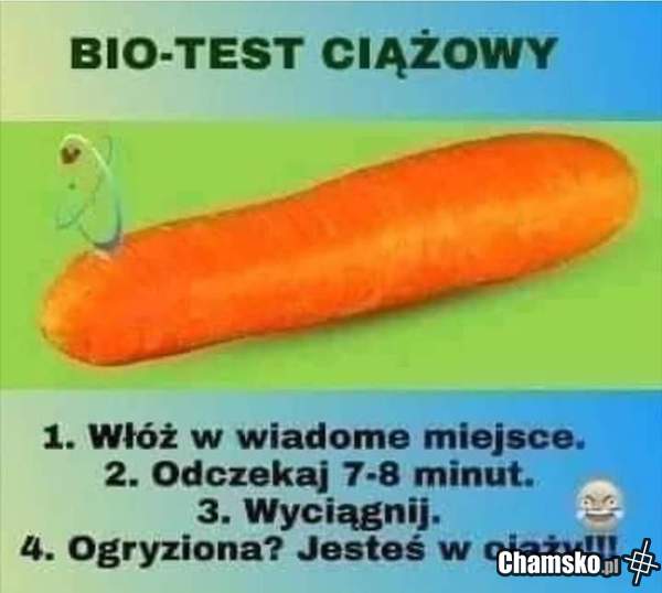Test bio