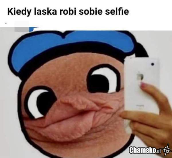 Selfik