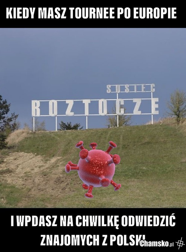 Gość w dom