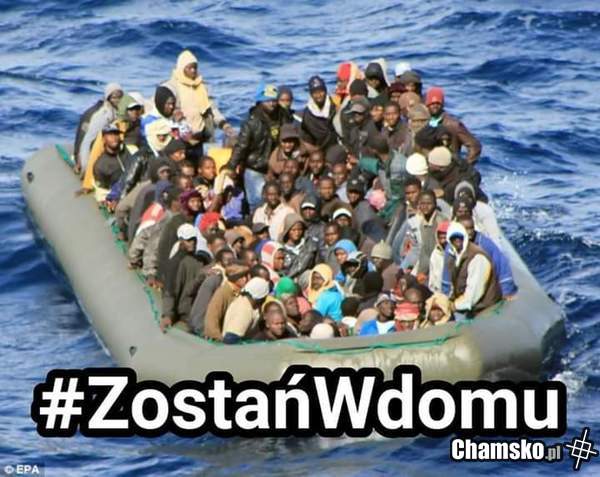 Zostań w domu