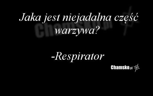 warzywko