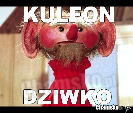 Kulfon Dziwko