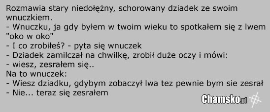 Dziadek i lew
