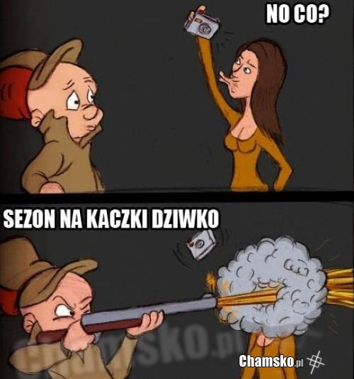 dziubki