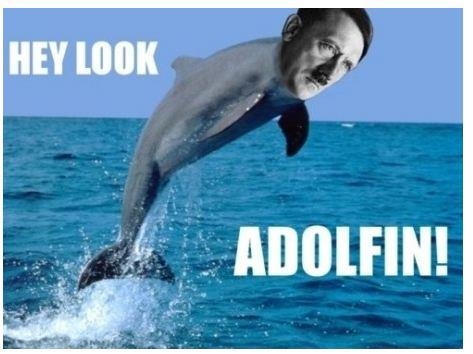 ADOLFIN