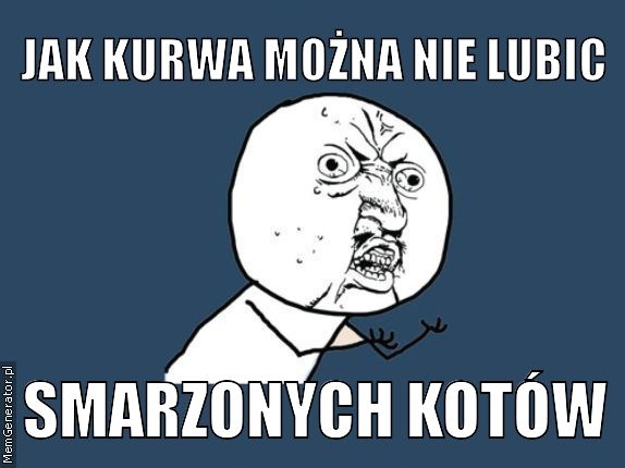 Kot