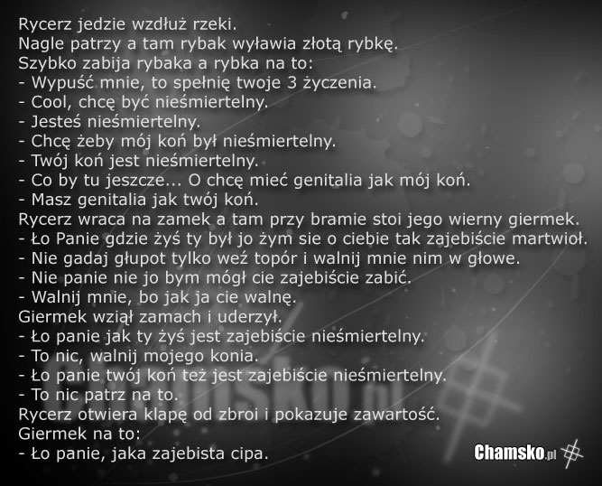 Rycerz