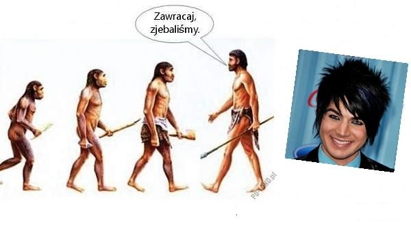 Zawracaj.