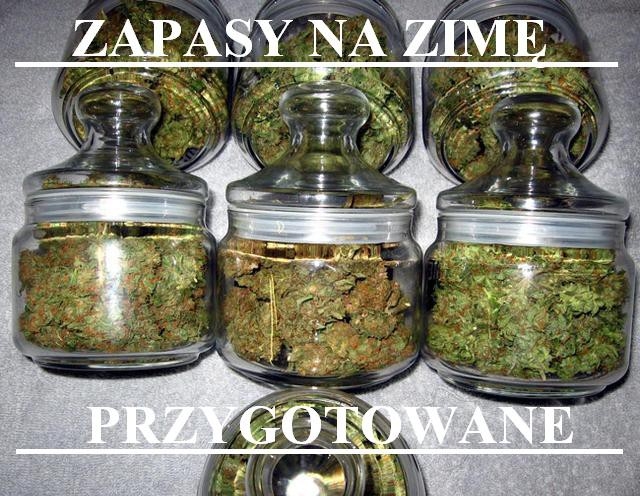 Zapasy na zim? s??
