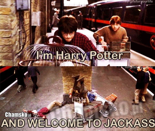 harry