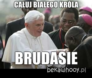 caluj bia?ego króla