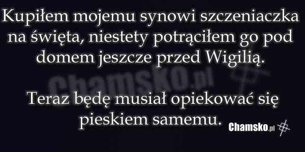 Piesek