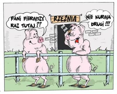Rze?nia