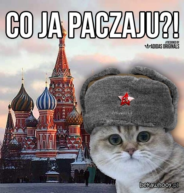 w polsce acta to wypierdala