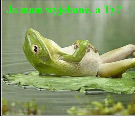Pytanie