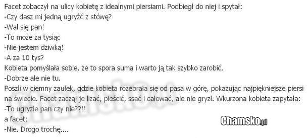 Cycek