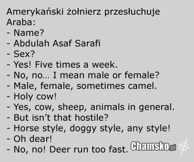 Przes?uchanie araba