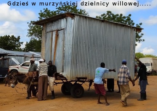 Bajka o murzynach