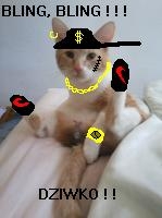 Mleczyk BLING, BLING
