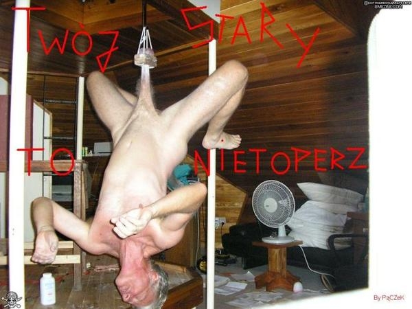 Nietoperz