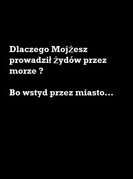 Moj?esz