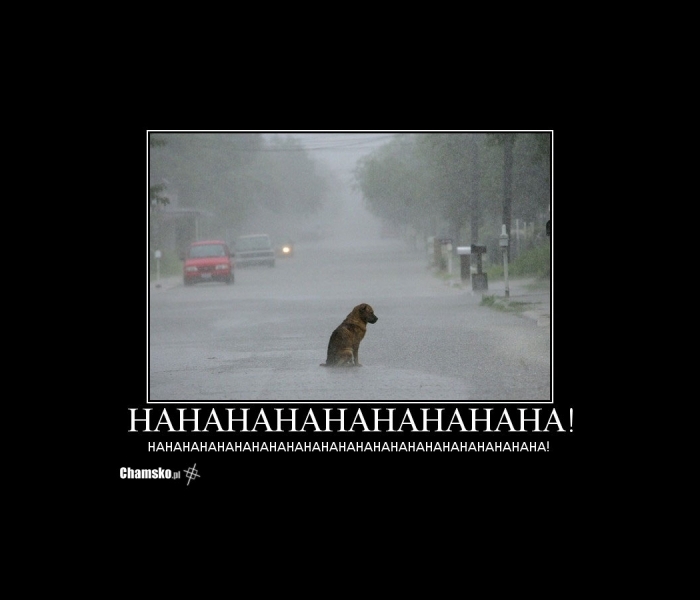 Hahahhaha