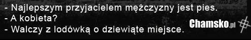 najlepszy przyjaciel m??czyzny