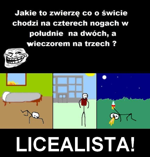 zagadka