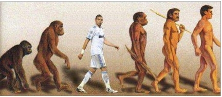 Pepe- Stopie? rozwoju