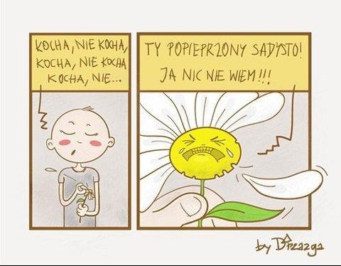 Kocha, nie kocha...