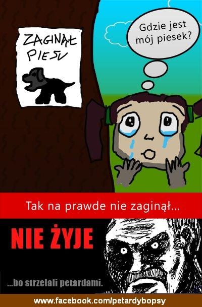 Nie szczelajcie petardy, bo psy zdechnom