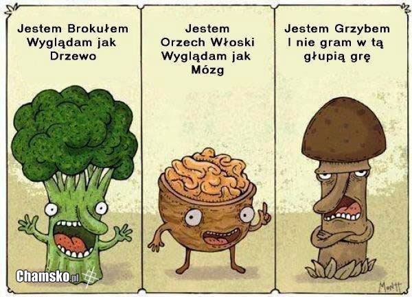 Gra