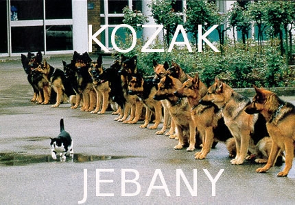KOZAK