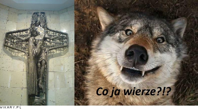 Co ja wierze...