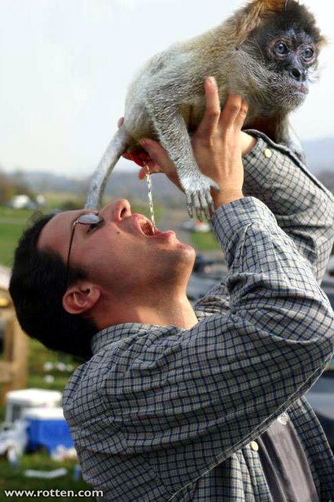 egzotic drink
