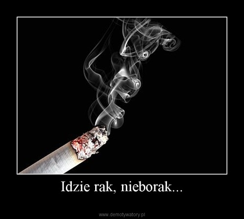 idzie rak