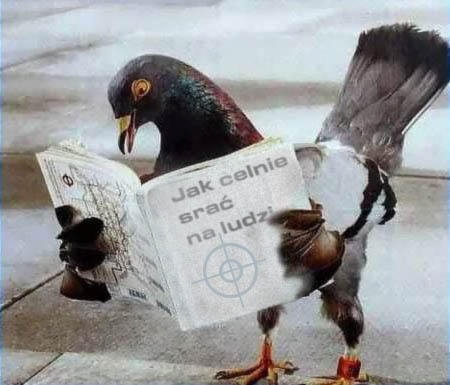 OCZYTANY WI?CEJ WIE