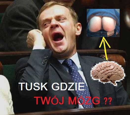 tusk