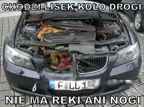 Lisek