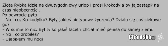 Z?ota Rybka