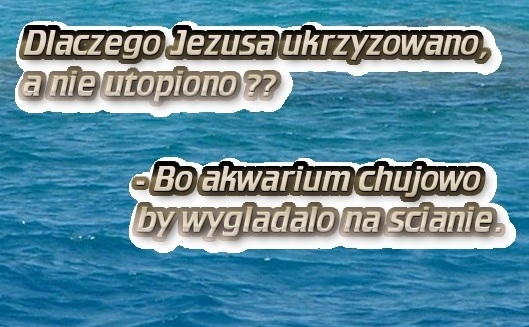 akwarium