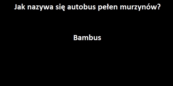 Autobus