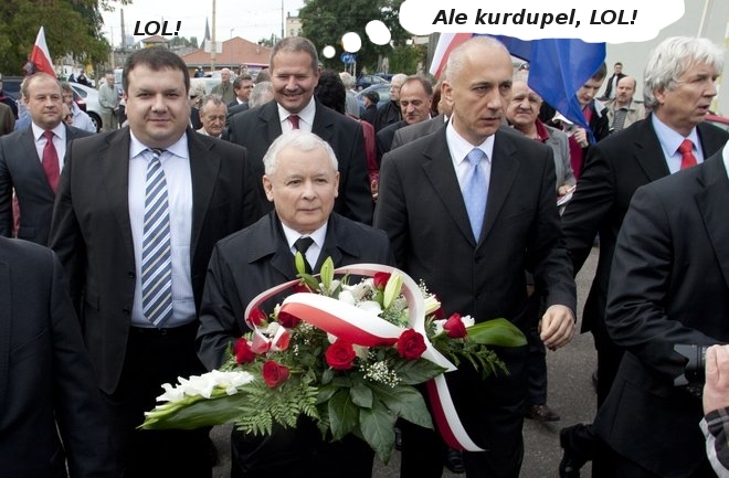 Wzrost