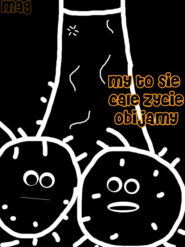 Ale Jaja