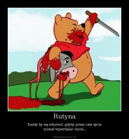 Kubu? puchatek