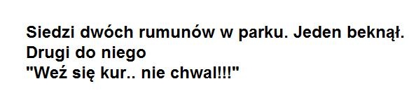 Rumun