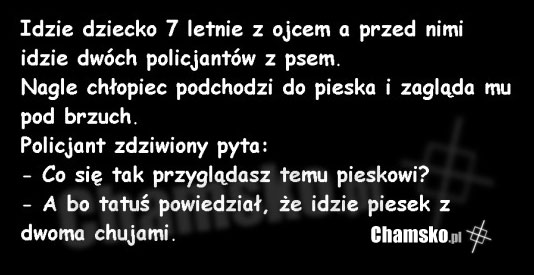 policja