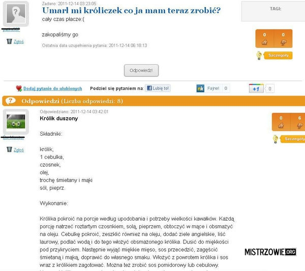Króliczek